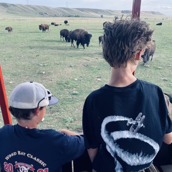 Terry Bison Ranch Resort - Feeding the bison is the highlight - Venues & Event Spaces Near Me - Cheyenne, Wyoming Terry Bison Ranch Resort - Feeding the bison is the highlight - Venues & Event Spaces Near Me - Cheyenne, Wyoming
