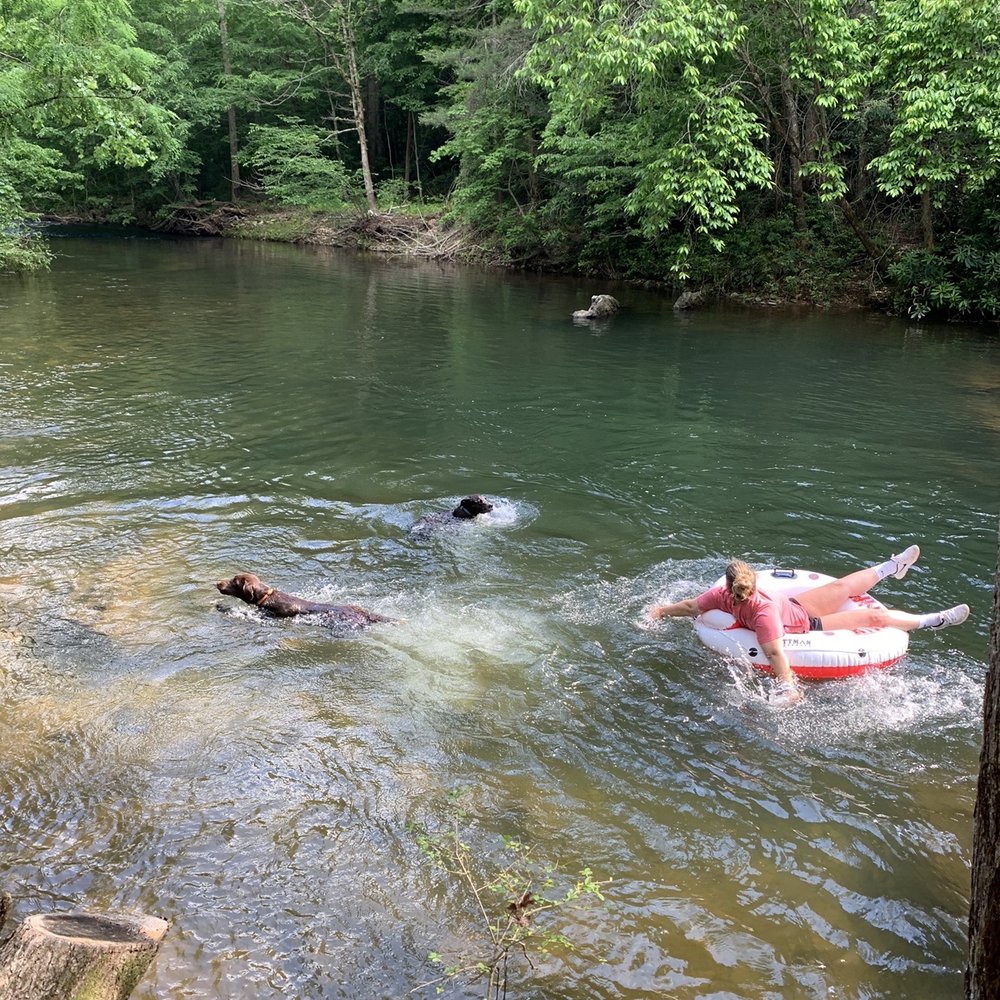 Buck Creek RV Park - Dogs enjoyed swimming too - Campgrounds Near Me - Marion, North Carolina Buck Creek RV Park - Dogs enjoyed swimming too - Campgrounds Near Me - Marion, North Carolina