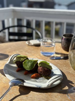 Oystercatcher by null