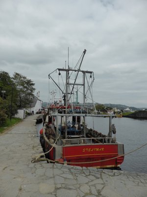 Crinan Coffee Shop by null