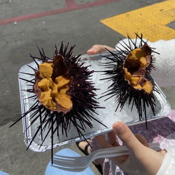 Santa Barbara Fish Market - Fresh uni - Seafood Markets Near Me - Santa Barbara, California