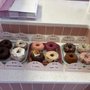 Scout’s Doughnuts