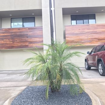 Danny's Landscaping - Palms - Landscaping Near Me - Houston, Texas Danny's Landscaping - Palms - Landscaping Near Me - Houston, Texas