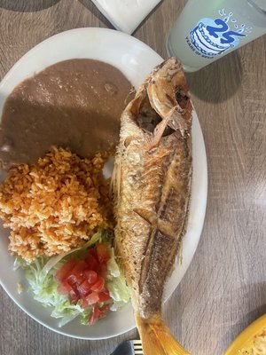 Guadalajara Mexican Restaurant by null