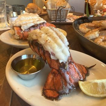 Paddlefish - Seafood Near Me - Orlando, Florida Paddlefish - Seafood Near Me - Orlando, Florida