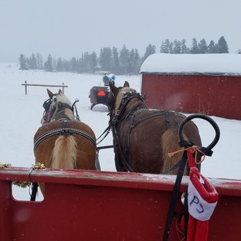 The Activity Barn - Sledding Near Me - McCall, Idaho
