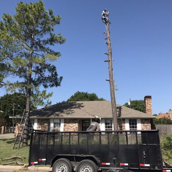 Top Tree Service - Tree Services Near Me Top Tree Service - Tree Services Near Me