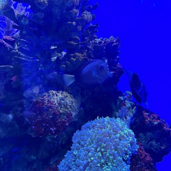 Birch Aquarium - Aquariums Near Me - La Jolla, California