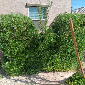 Green Valley Landscape - Landscaping Near Me Green Valley Landscape - Landscaping Near Me