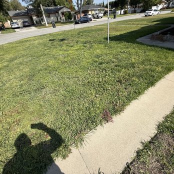 Jose's Lawn Services - Tree Services Near Me