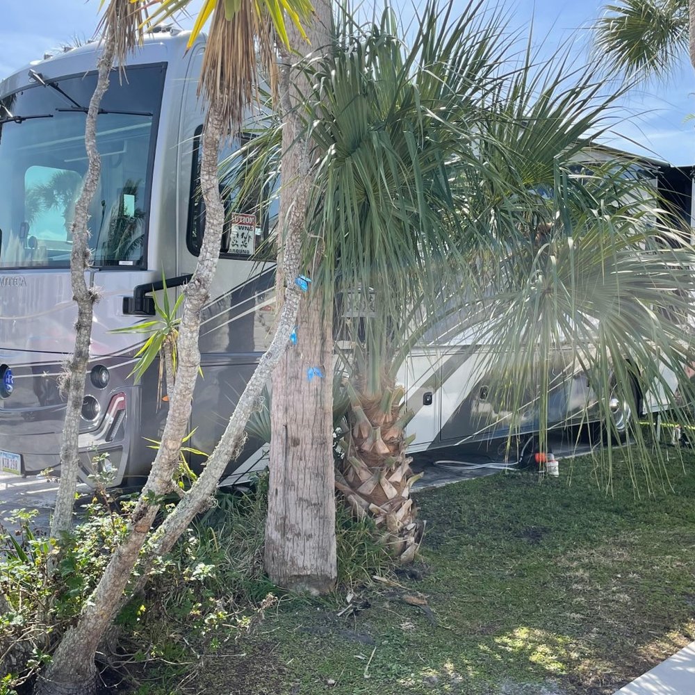 Quality Touch Mobile Detailing - Auto Detailing Near Me - Cape Coral, Florida Quality Touch Mobile Detailing - Auto Detailing Near Me - Cape Coral, Florida