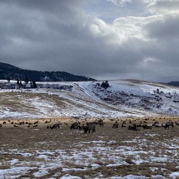 National Elk Refuge Sleigh Rides - Parks Near Me - Jackson, Wyoming National Elk Refuge Sleigh Rides - Parks Near Me - Jackson, Wyoming