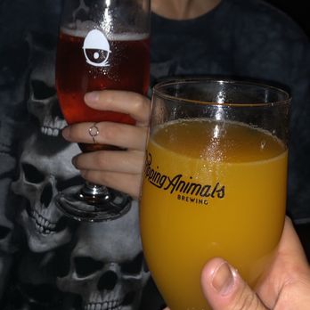 Tripping Animals Brewing - Breweries Near Me - Doral, Florida