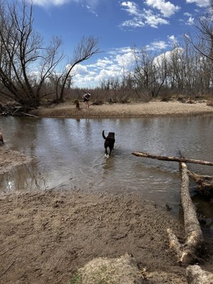 Cherry Creek State Park by null