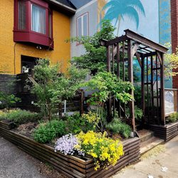 The Plant Mystic - Storefront