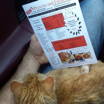 Nino's Pizzeria - Starlight checks out the menu - Pizza Near Me - Rochester, New York