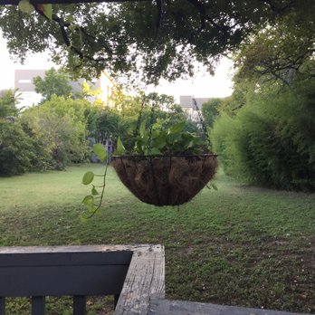 Si Tapas - Backyard view - Spanish Near Me - Dallas, Texas