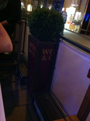 WEIN & CO Wien Stephansplatz – Weinbar & Flagshipstore by null