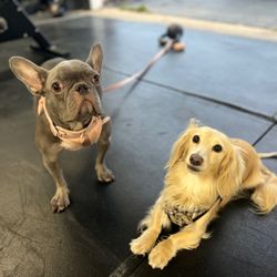 UpReach CrossFit
