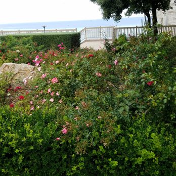 Cannery Row - Beautiful flowers along Cannery Row. - Shopping Centers Near Me - Monterey, California Cannery Row - Beautiful flowers along Cannery Row. - Shopping Centers Near Me - Monterey, California