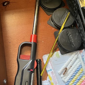 OC Total Pest Control - Proof of different type of roaches infestation in my home. - Pest Control Near Me - Irvine, California OC Total Pest Control - Proof of different type of roaches infestation in my home. - Pest Control Near Me - Irvine, California