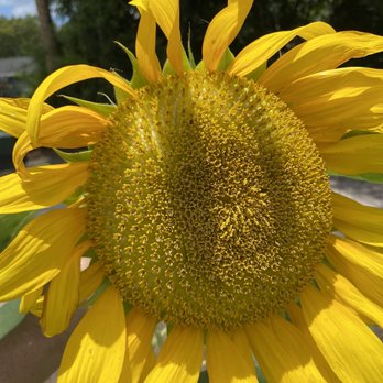 The Farm - Farms Near Me - Ormond Beach, Florida