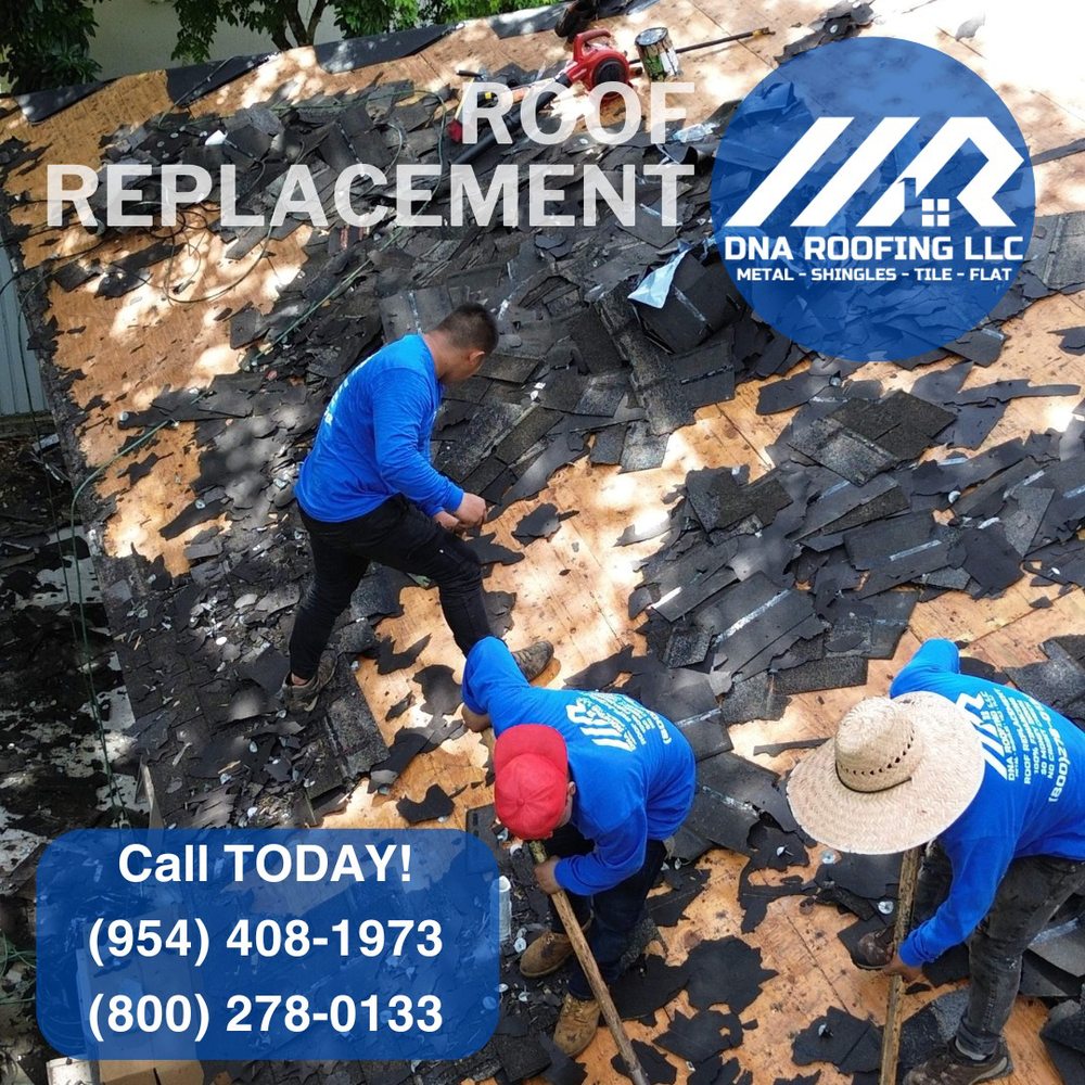 Slide of DNA Roofing