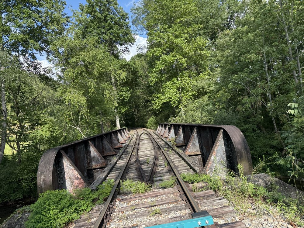 Andrews Valley Rail Tours Logo