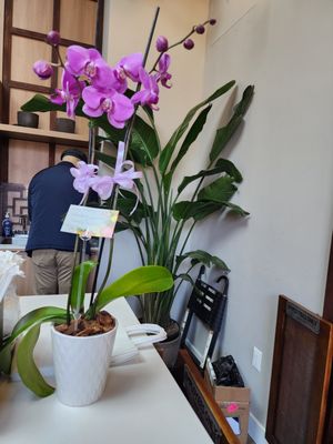 Cafe Diem NYC by null