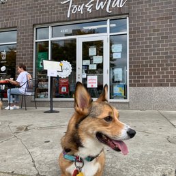 Blue in front of Tou & Mai! Blue in front of Tou & Mai!