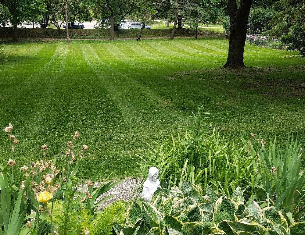 DAVE’S GREEN THUMB LAWN CARE Updated July 2024 11 Photos St Paul