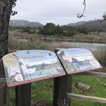 Año Nuevo State Park - Wetlands - Beaches Near Me - Pescadero, California