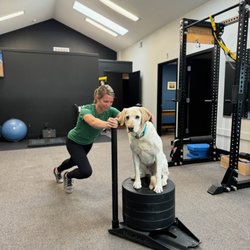 One To One Physical Therapy - 185lb sled push + Scout!