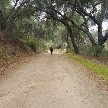 Blue Sky Ecological Reserve - Blue Sky - Hiking Near Me - Poway, California