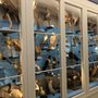 Photo of Missionsmuseum