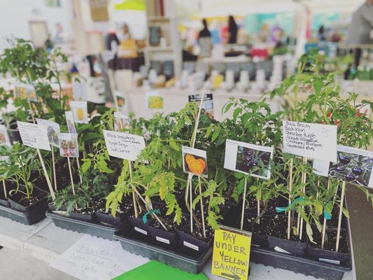 Uptown Farmers' Market by null