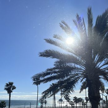 LSXO - The unreal view from our table. Wish we'd booked for sunset (next time fosho). - Vietnamese Near Me - Huntington Beach, California LSXO - The unreal view from our table. Wish we'd booked for sunset (next time fosho). - Vietnamese Near Me - Huntington Beach, California