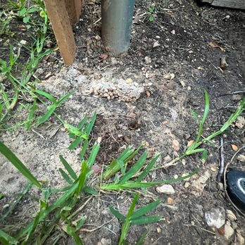 RAM Fencing - Wood Stump & Cement 3 - Fences & Gates Near Me