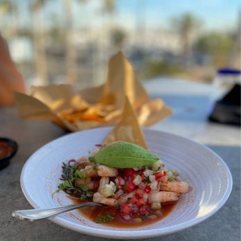 Palapa - a white plate with a salad on it - Bars Near Me - Long Beach, California Palapa - a white plate with a salad on it - Bars Near Me - Long Beach, California