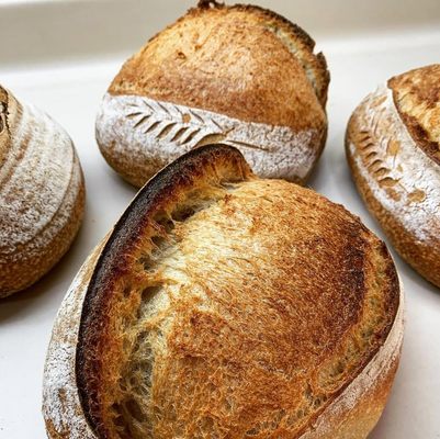BReD - Organic Sourdough by null