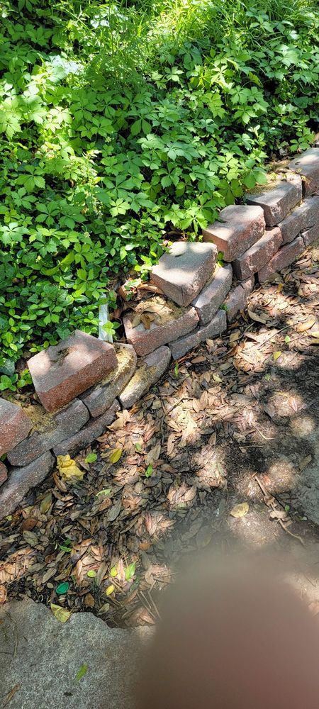 Slide of Jim Williams Renovations