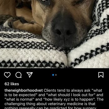 The Neighborhood Vet - Veterinarians Near Me - Brooklyn, New York