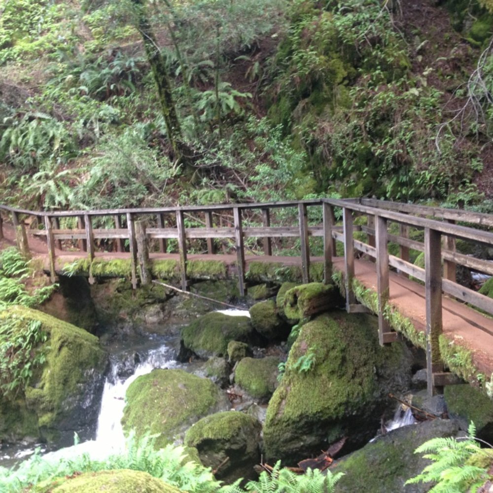 Cataract Falls Trail - Lots of stairs & bridges. You quickly see falls. Continue and you see more & more & more falls. Pretty awesome. - Hiking Near Me Cataract Falls Trail - Lots of stairs & bridges. You quickly see falls. Continue and you see more & more & more falls. Pretty awesome. - Hiking Near Me