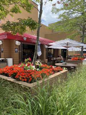 Borgata Beer Garden by null