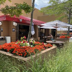 Borgata Beer Garden