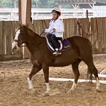 Blue Ribbon Riding Academy - Horseback Riding Near Me - Canton, Mississippi