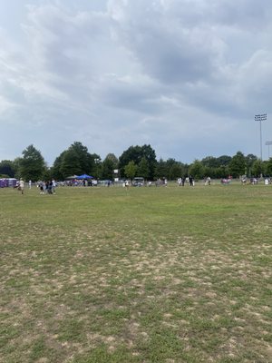 Roy Wilkins Park by null