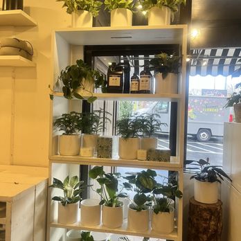 Sammy's Flowers - Florists Near Me - Portland, Oregon