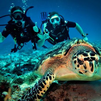 Scuba Life Cozumel - Norman took this shot of us on a dive - how fun! - Scuba Diving Near Me - Cozumel, ROO Scuba Life Cozumel - Norman took this shot of us on a dive - how fun! - Scuba Diving Near Me - Cozumel, ROO