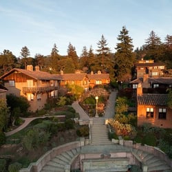Rose Walk